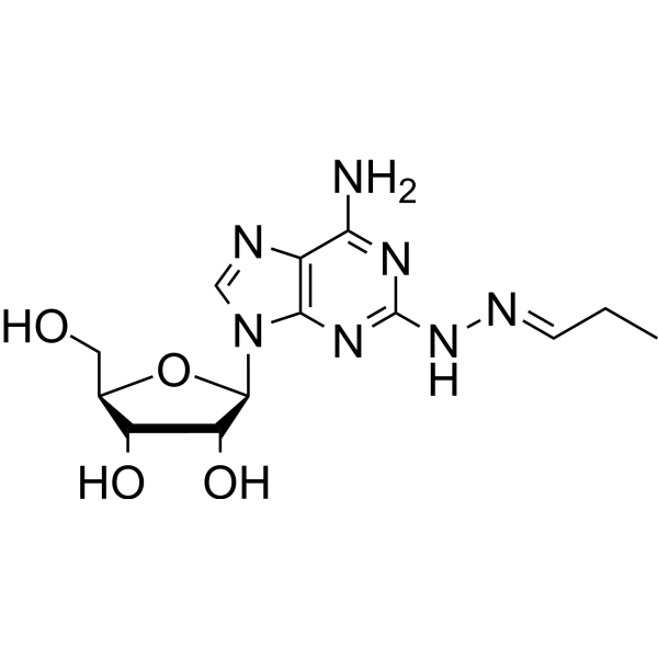 2-(n-Propylidene hydrazino) adenosine 144348-05-0